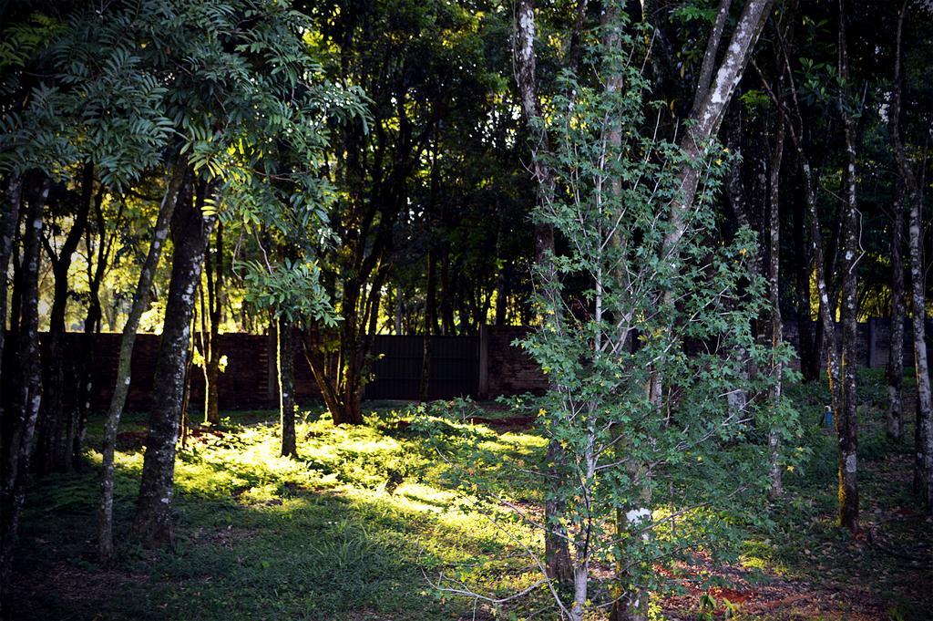 Cabanas Las Termas Villa Oberá Exteriör bild